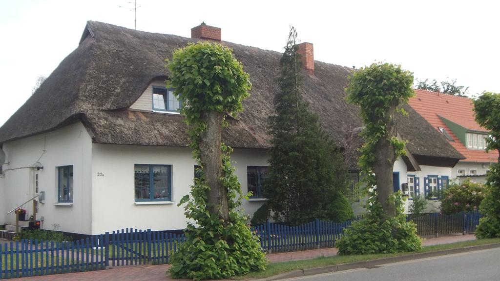 Residenz Lausitz Daire Graal-Mueritz Dış mekan fotoğraf