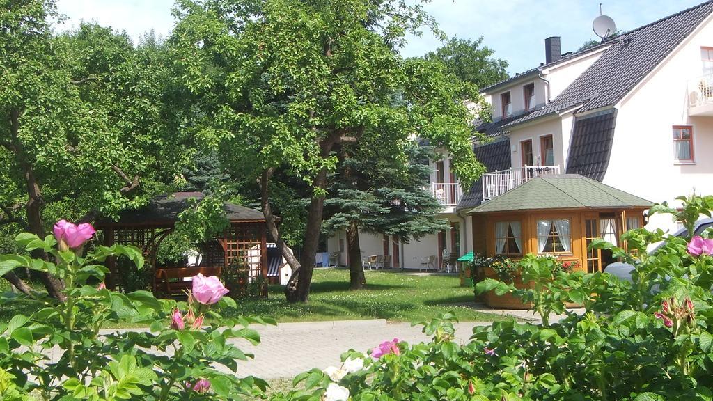 Residenz Lausitz Daire Graal-Mueritz Oda fotoğraf
